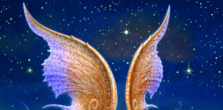 Fabian Carbone Project: Das „singende“ Bandoneon