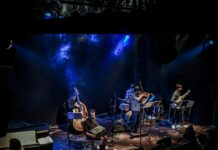 Euphorbia Math Tango Euphorbia Math Tango