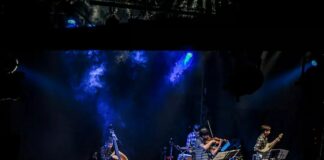 Euphorbia Math Tango Euphorbia Math Tango